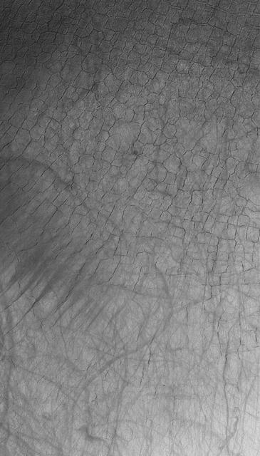 This Mars Global Surveyor MGS Mars Orbiter Camera MOC image shows polygonally patterned ground on the floor of a trough in the southern hemisphere of Mars. The polygons could be an indicator that ground ice is or was present at this location