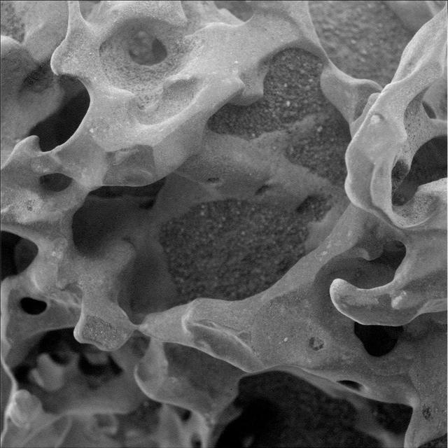 NASA Mars Exploration Rover Spirit used its microscopic imager to capture this spectacular, jagged mini-landscape on a rock called GongGong.