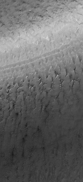 South Polar Terrain