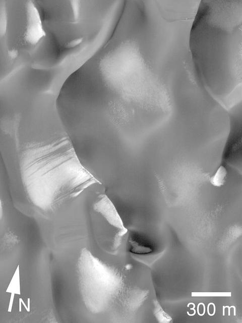 Dune Activity in Proctor Crater