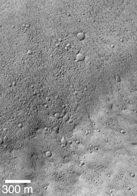 Mars Shoreline Tests: Contact between Lycus Sulci and Amazonis Planitia