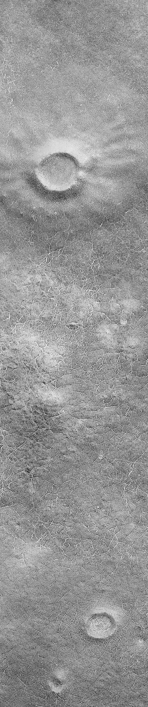 Patterned Ground of the Martian Antarctic