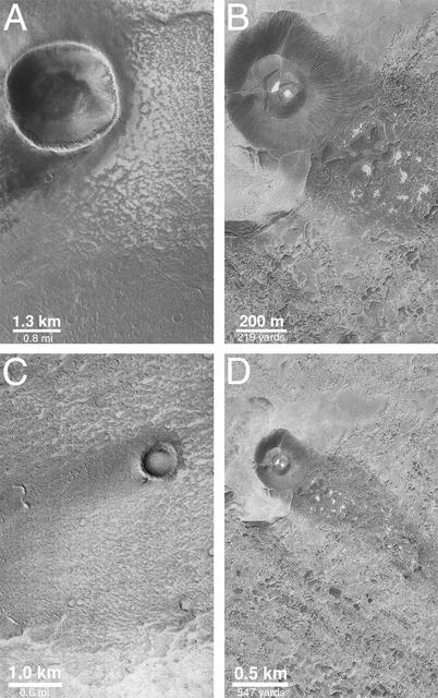 Wind Streaks of Daedalia, Mars, and Amboy, California