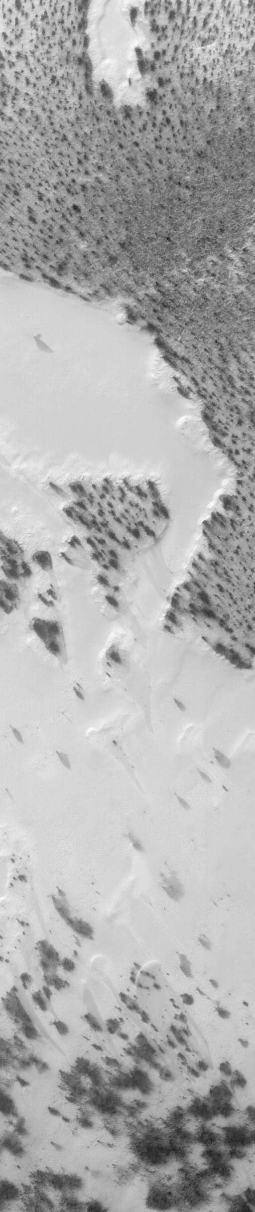 As we head into the 21st Century, it seems hard to believe that human beings have been sending spacecraft toward Mars for more than 3 decades already. The first spacecraft to reach Mars was Mariner 4 in 1965. This success was followed by two spacecraft in 1969, Mariners 6 and 7. Now the wonders and alien beauty of Mars continue to unfold with each day that the Mars Global Surveyor -- which arrived in September 1997 -- continues to radio its data to Earth.  Mars exploration was always difficult and each bit of data returned from the planet is a marvel. On August 5, 1969, the Mariner 7 spacecraft flew past Mars at a minimum altitude of about 4200 km. It acquired 14 wide/narrow angle image pairs during the few minutes of the "near encounter" flyby. One of these image pairs, 7N19/7N20, shows the south polar region and contains a feature that at the time was nicknamed "the Giant's Footprint." Shown in the first two pictures, above, the feature consists of two adjoining craters, one about 80 km (50 mi) in diameter and the other about 50 km (31 mi) across near latitude 76°S, longitude 276°W. The oblique geometry of the Mariner 7 image enhances the impression of a footprint.  The "Giant's Footprint" was almost missed when Mariner 7 suffered a near-catastrophic battery failure just a few days before the encounter -- on July 30 -- that put the spacecraft sporadically out of contact with Earth for two days. Ground controllers at the Jet Propulsion Laboratory (JPL)recovered the spacecraft, re-planned its imaging sequence based on results from the Mariner 6 flyby on July 31, and salvaged all of the mission's science goals in under a week!  In the 1970's, the larger crater in "giant's footprint" was named "Vishniac" in honor of Wolf Vishniac, an American microbiologist of the University of Rochester who was instrumental in the development of methods to search for life on Mars. Vishniac was tragically killed in a fall in Antarctica in 1973 while retrieving a life detection experiment, and the crater was named in honor of this "giant" in the search for life on Mars.  More than three decades after the Mariner 7 flyby, Mars Global Surveyor's Mars Orbiter Camera (MOC) acquired a commemorative view of the interior of Vishniac Crater on October 25, 1999. The context image and the 3-meters (9.8 feet)-per-pixel narrow angle view are shown above (in the lower image pair). Mariner 7's 7N20 has a nominal resolution of about 180 meters (591 feet) per pixel, while the MOC high resolution view is about 60 times higher (in actuality, the lower quality of the Mariner 7 images makes the resolution gain even more dramatic).  The MOC high resolution view (lower right, above) shows a 1.5 kilometer-(0.9 mile)-wide portion of the floor of Vishniac in the process of defrosting during southern spring. The bright areas are still frost-covered, while the darker areas are either defrosted or composed of darkened or "dirty" frost. The dark patches in the image seem to serve as sources for dark streaks of material that has either been blown across the landscape by wind, or has somehow caused the erosion of frost to create the streaks. Dark streaks follow the local topography, as might the wind that blew across this landscape. This pattern of spots and streaks was quite common on the defrosting south polar cap during the spring that lasted from early August 1999 to late December 1999.  All images shown here are illuminated by sunlight from the lower right. Image orientation with north toward the bottom was selected in order to show the "footprint" visible in Mariner 7 image 7N20. The Mariner 7 images were recovered at Malin Space Science Systems from the original 7-track magnetic tapes, archived on CD-ROM by the JPL Data Preservation activity.   More images relating to the release can be viewed at http://photojournal.jpl.nasa.gov/catalog/PIA02365