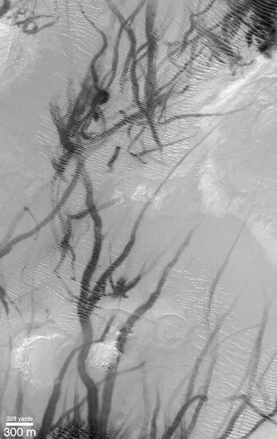 Dust Devils Seen Streaking Across Mars: PART 1--What Are These?