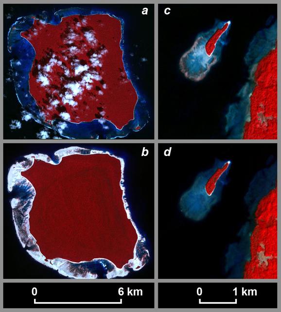 NASA image: Uplift and Subsidence Associated with the Great Aceh-Andaman Earthquake   of 2004