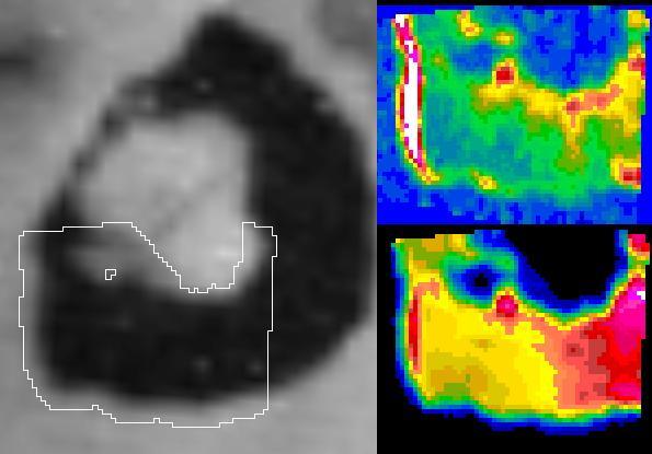 High temperatures observed by NASA Galileo spacecraft along the western edge of the Loki volcano on Jupiter moon Io may indicate freshly exposed material at the shore of a lava lake during an Oct. 16, 2001 flyby of Io.