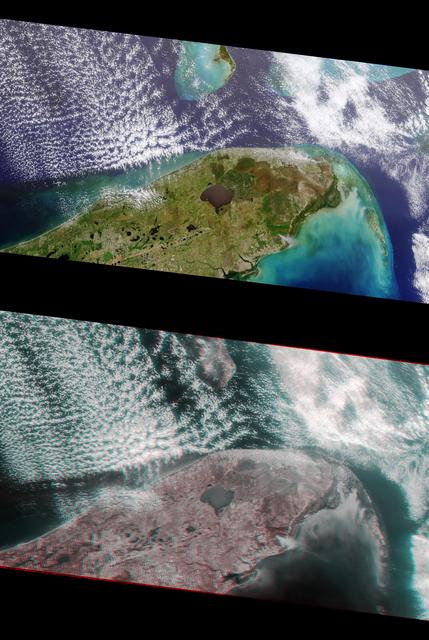 NASA image: MISR Views Florida