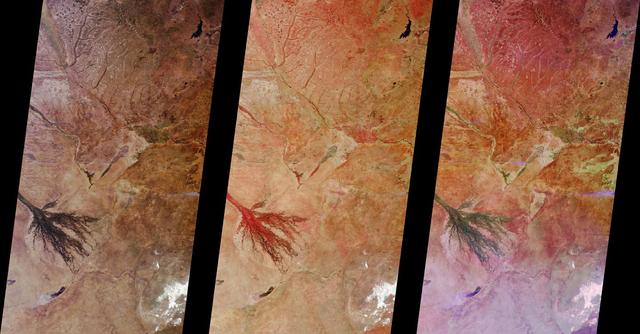 These images from NASA Terra satellite images of Zambia and Botswana, Africa were acquired on August 25, 2000 during Terra orbit 3655.