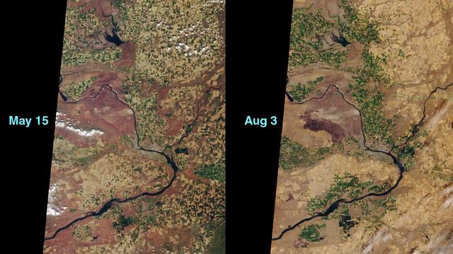 This image pair from NASA Terra satellite shows before and after views of a dry sagerush fire in the area around the Hanford Nuclear Reservation near Richland, Washington, in June, 2000.