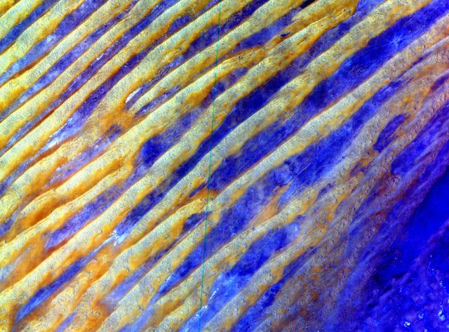 NASA image: ASTER Dunes