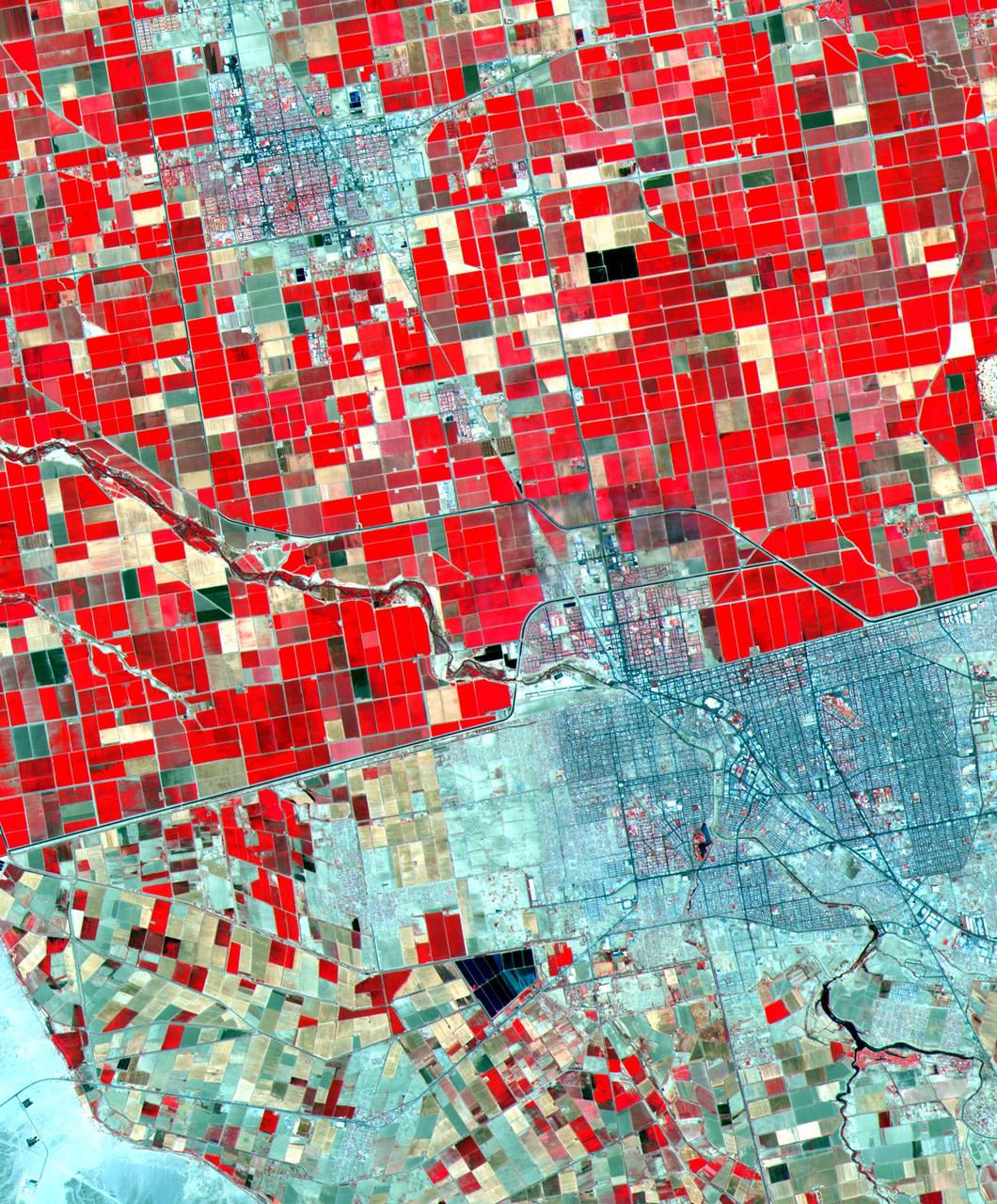 Dramatic differences in land use patterns are highlighted in this image of the U.S.-Mexico border. Lush, regularly gridded agricultural fields on the U.S. side contrast with the more barren fields of Mexico. This June 12, 2000, sub-scene combines visible and near infrared bands, displaying vegetation in red. The town of Mexicali-Calexico spans the border in the middle of the image; El Centro, California, is in the upper left. Watered by canals fed from the Colorado River, California's Imperial Valley is one of the country's major fruit and vegetable producers. This image covers an area 24 kilometers (15 miles) wide and 30 kilometers (19 miles) long in three bands of the reflected visible and infrared wavelength region.  http://photojournal.jpl.nasa.gov/catalog/PIA02659