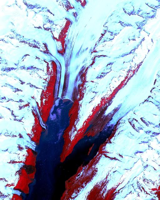 NASA image: College Fjord, Prince Williams Sound
