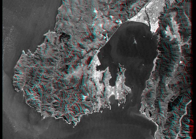 NASA image: Anaglyph, Landsat Overlay: Wellington, New Zealand