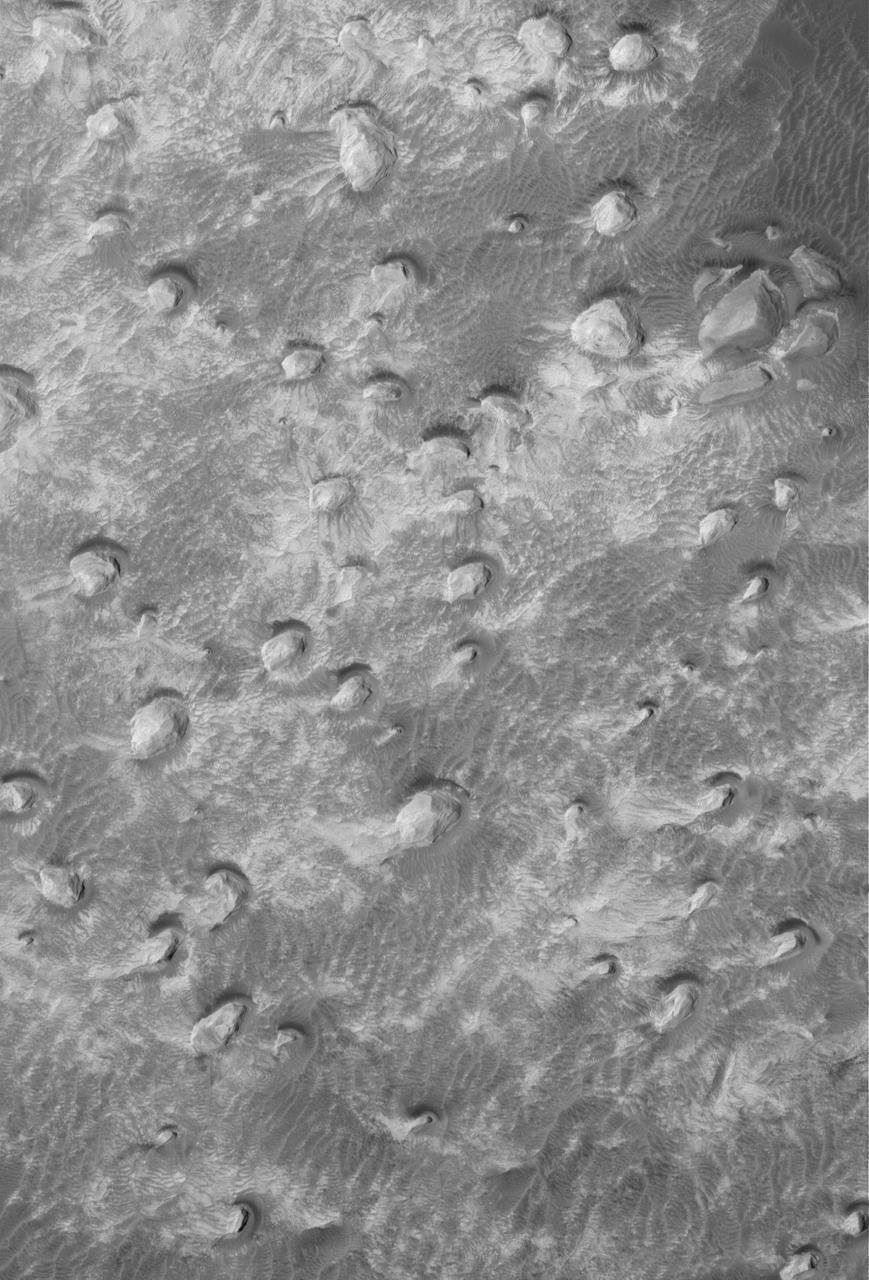 image shows a variety of textures observed on a south middle-latitude plain east-southeast of Hellas Planitia. Dark streaks left by passing dust devils are practically ubiquitous across the scene