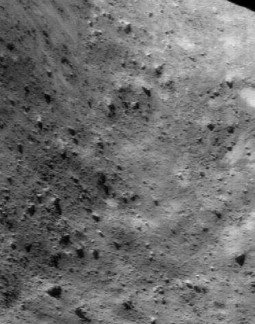 Rocky Hollow Picture Show