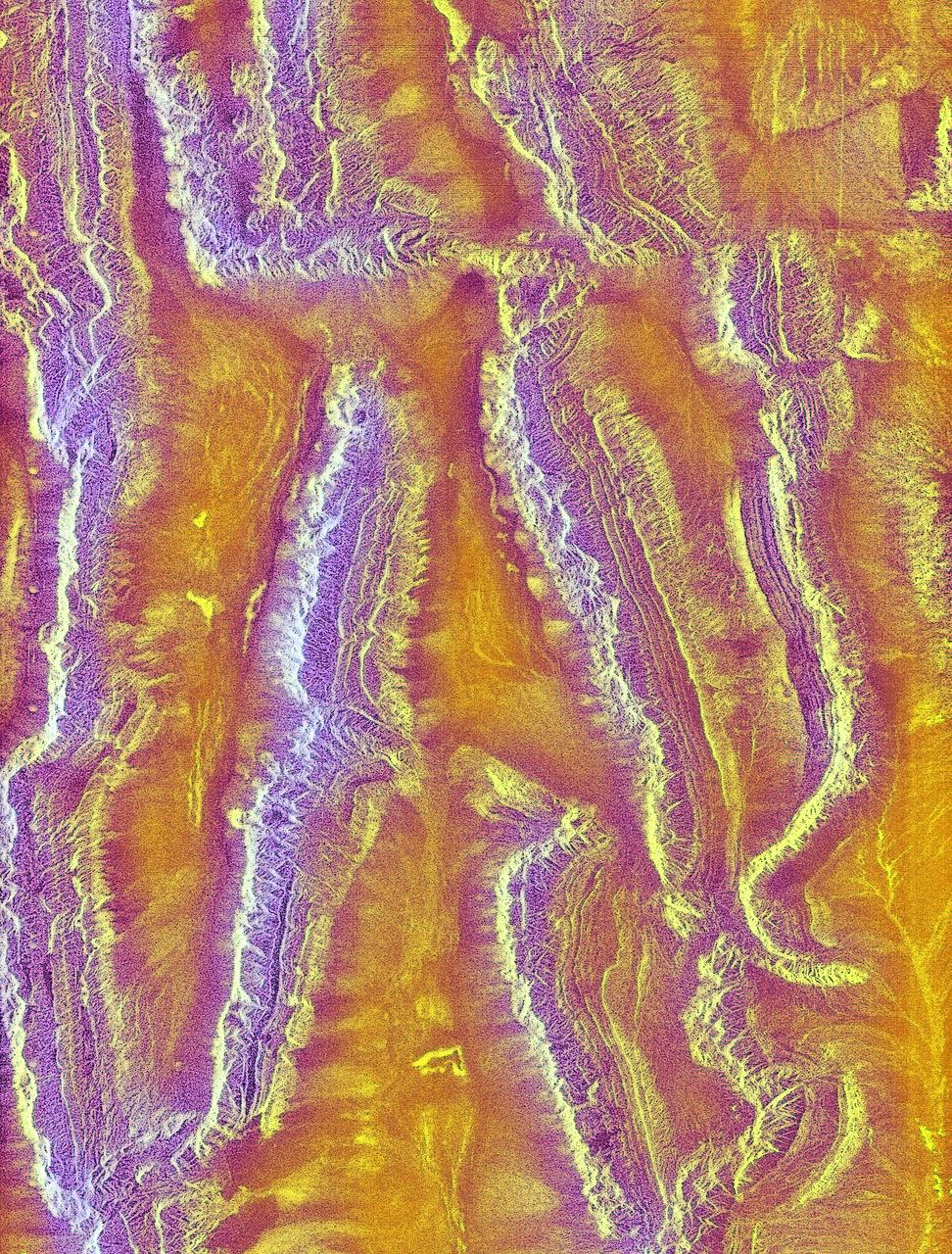 The objective of NASA Shuttle Imaging Radar A SIR-A was to observe the Earth by use of radar imagery, acquire and transmit data of different geologic regions. This is a view of China in 2000.