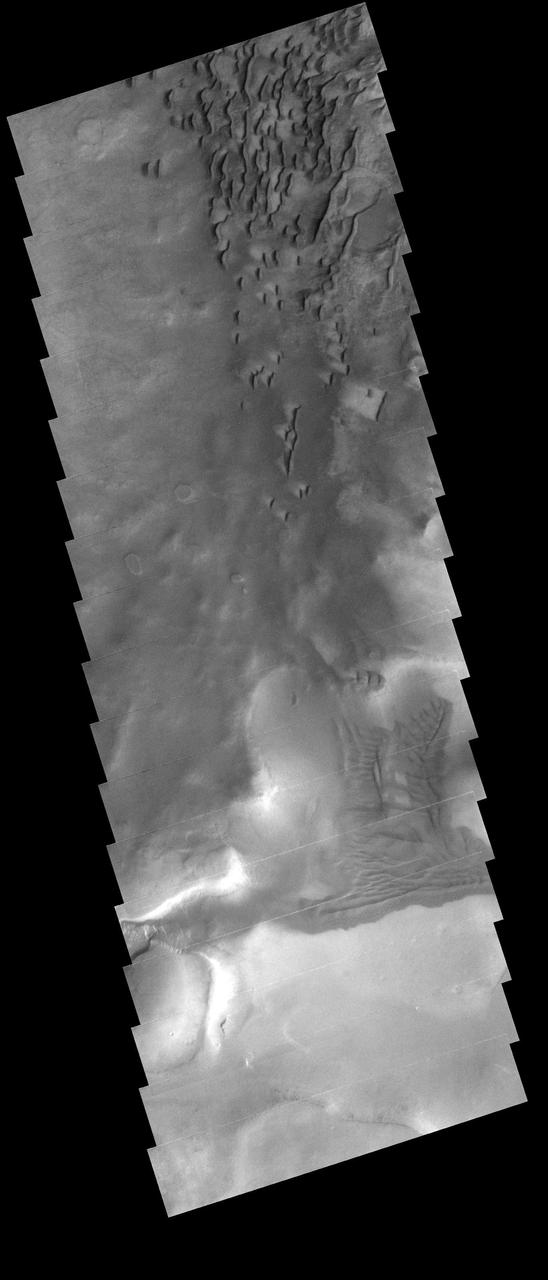 Dunes in Darwin Crater