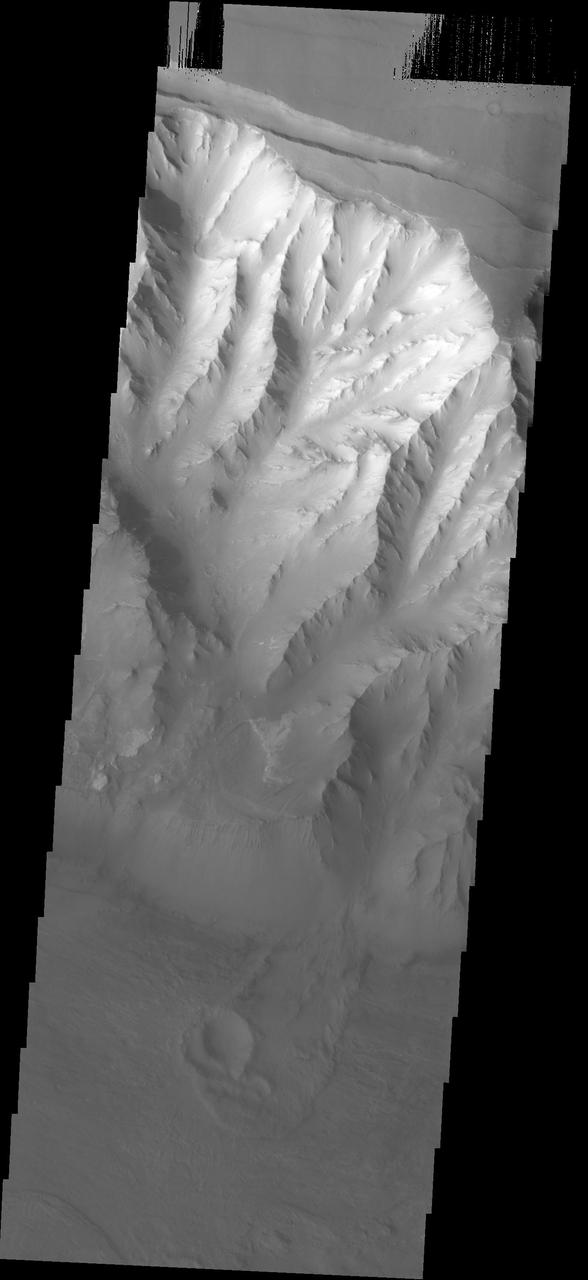 The landslide in the center of this image from NASA 2001 Mars Odyssey spacecraft occurred in the Melas Chasma region of Valles Marineris. 