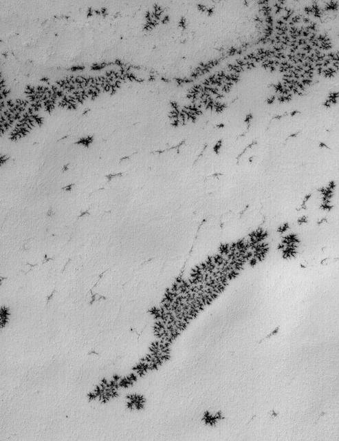 NASA image: Defrosting Patterns