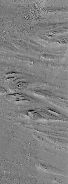 NASA image: Cerberus Flood Features