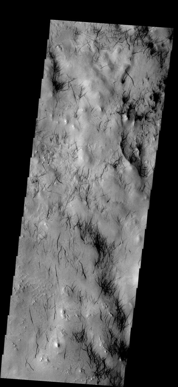 These dust devil tracks are located in the region surrounding Hooke Crater as seen by NASA 2001 Mars Odyssey spacecraft.  