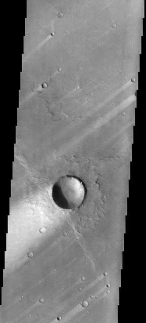 These windstreaks are located on the downwind side of impact craters located in Syrtis Major as seen by NASA 2001 Mars Odyssey spacecraft.