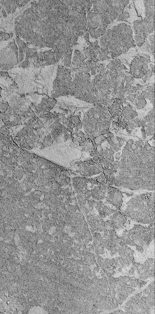 Zephyria Platy Flows