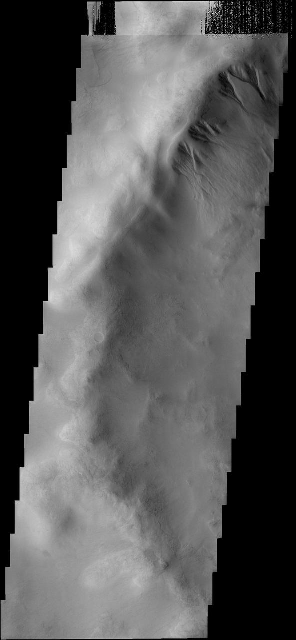 The gullies at the top of the image captured by NASA 2001 Mars Odyssey spacecraft occur on the rim of an unnamed crater on the larger rim of the Argyre Basin. It has been postulated that this type of gully may form due to the melting of a snow/ice cover