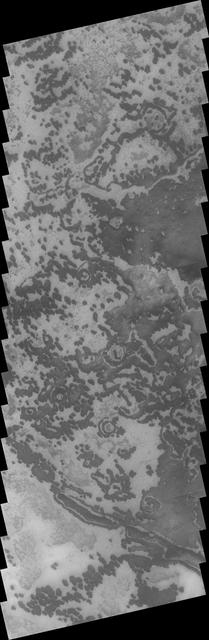 This VIS image from NASA 2001 Mars Odyssey spacecraft of the south polar region was collected during the summer season. The markings of the pole are very diverse and easy to see after the winter frost has been removed.