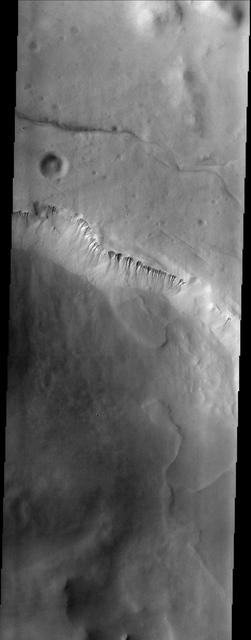 NASA 2001 Mars Odyssey spacecraft captured these gullies located on a cliff-face within Lyell Crater.