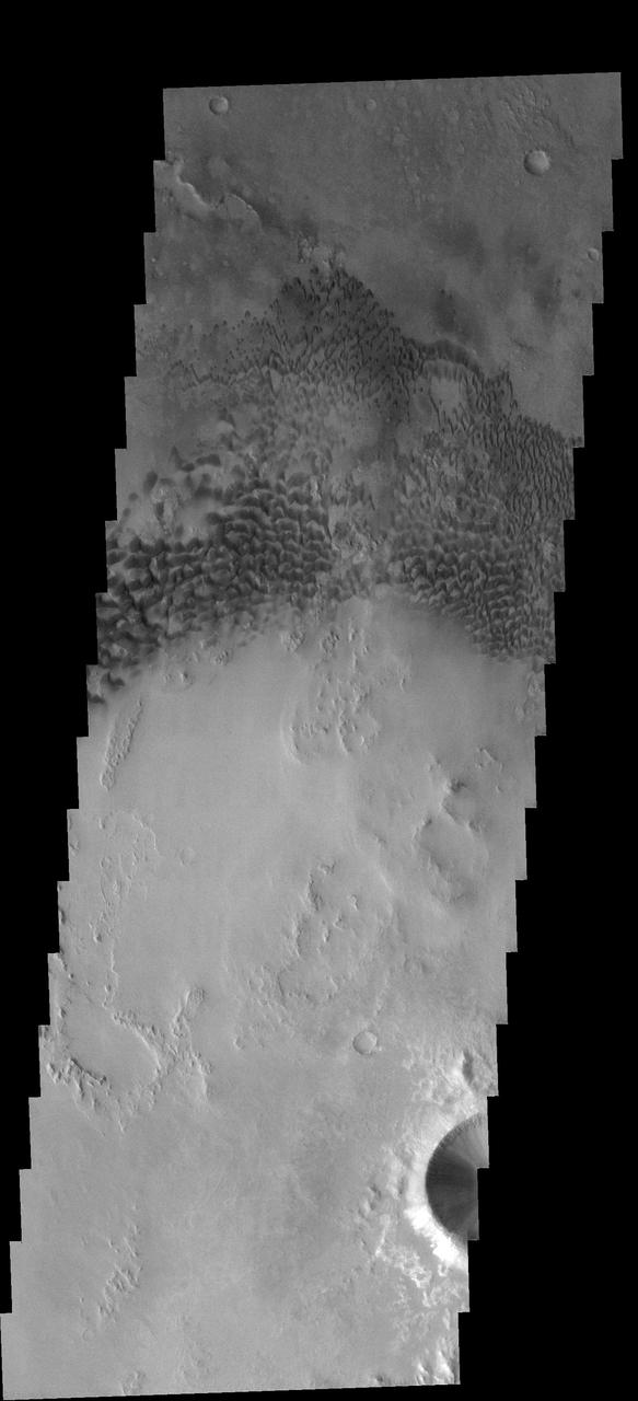These dunes occur on the floor of Holden Crater as seen by NASA 2001 Mars Odyssey spacecraft.
