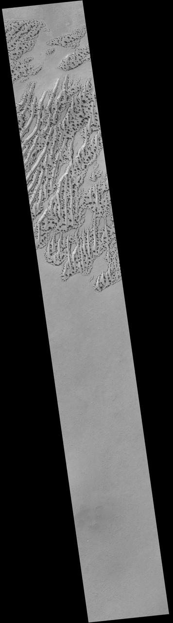 Defrosting Sand Dunes in Late Southern Winter