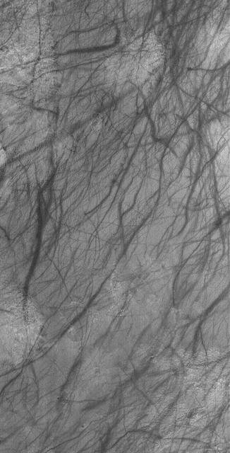 NASA image: Martian Artwork