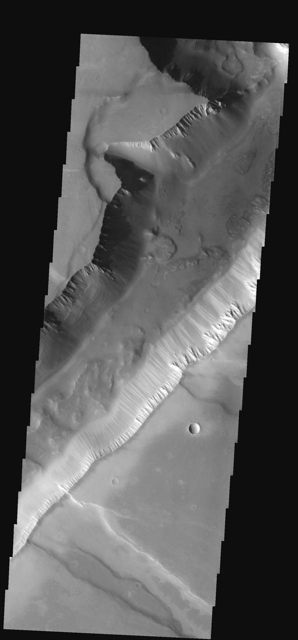 This narrow canyon is part of Coprates Chasma. On the east side of the  canyon a landslide is visible. The southern wall of the canyon is marked  by bright and dark streaks where dust has slid down the cliff face