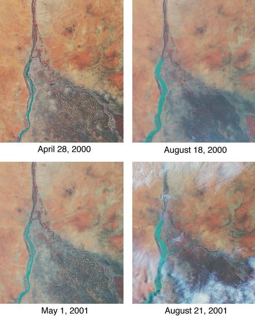 Nile River Fluctuations Near Khartoum, Sudan