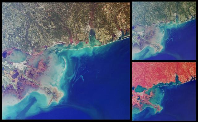 NASA image: Wetlands of the Gulf Coast