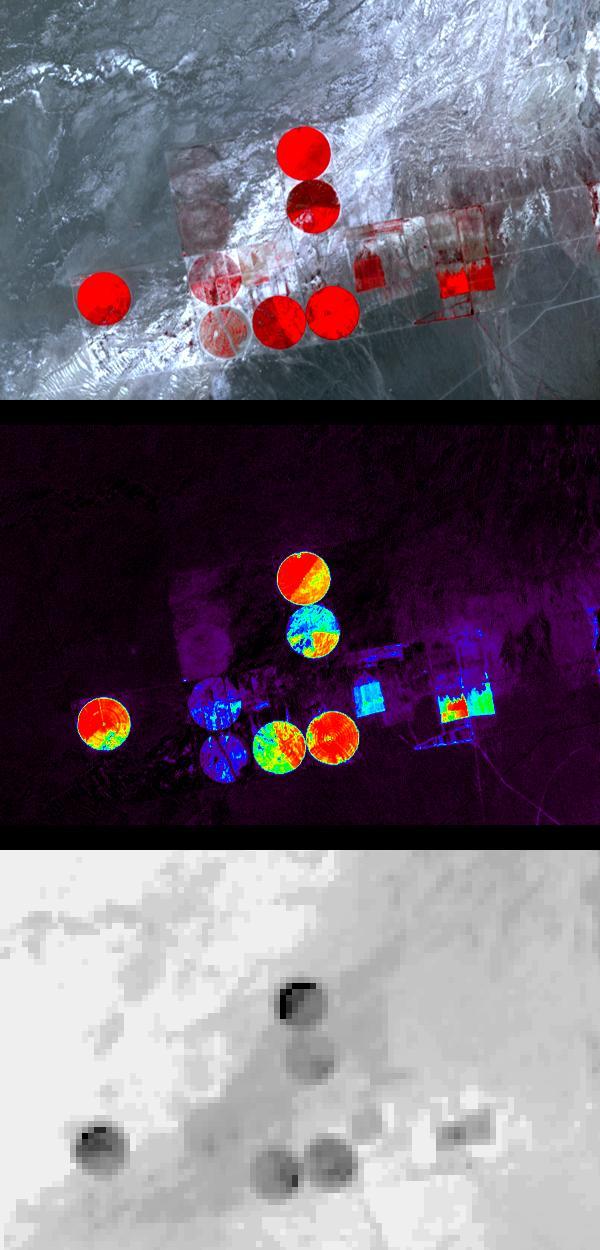 Information from images of Railroad Valley, Nevada captured on August 17, 2001 by the Advanced Spaceborne Thermal Emission and Reflection Radiometer (ASTER) may provide a powerful tool for monitoring crop health and maintenance procedures.  These images cover an area of north central Nevada. The top image shows irrigated fields, with healthy vegetation in red. The middle image highlights the amount of vegetation. The color code shows highest vegetation content in red, orange, yellow, green, blue, and purple and the lowest in black. The final image is a thermal infrared channel, with warmer temperatures in white and colder in black.  In the thermal image, the northernmost and westernmost fields are markedly colder on their northwest areas, even though no differences are seen in the visible image or the second, Vegetation Index image. This can be attributed to the presence of excess water, which can lead to crop damage.  http://photojournal.jpl.nasa.gov/catalog/PIA03463