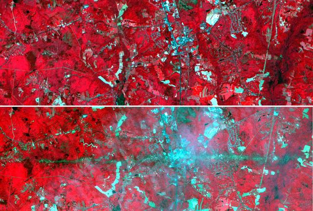 On Sunday, April 28, a category F5 tornado cut an East-West path through La Plata, Maryland, killing 5 and injuring more than 100. These two images acquired by NASA's Terra satellite Advanced Spaceborne Thermal Emission and Reflection Radiometer (ASTER) show a 6-by-17.8-kilometer (3.7-by-11.1-mile) area centered on the town. The top image was acquired on May 12, 2001, and the bottom on May 3, 2002. The bands used for the image portray vegetation in red, and bare fields and urban areas in blue-green. The dark turquoise swath cutting across the 2002 image is the track of the tornado, where the vegetation was ripped up and removed.  With its 14 spectral bands from the visible to the thermal infrared wavelength region, and its high spatial resolution of 15 to 90 meters(about 50 to 300 feet), ASTER will image Earth for the next six years to map and monitor the changing surface of our planet.  http://photojournal.jpl.nasa.gov/catalog/PIA03494