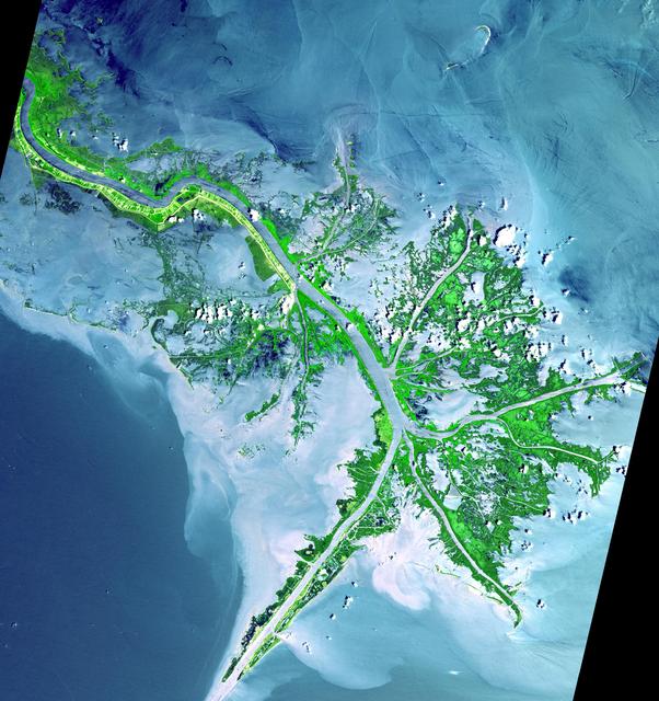 NASA image: Mississippi River Delta
