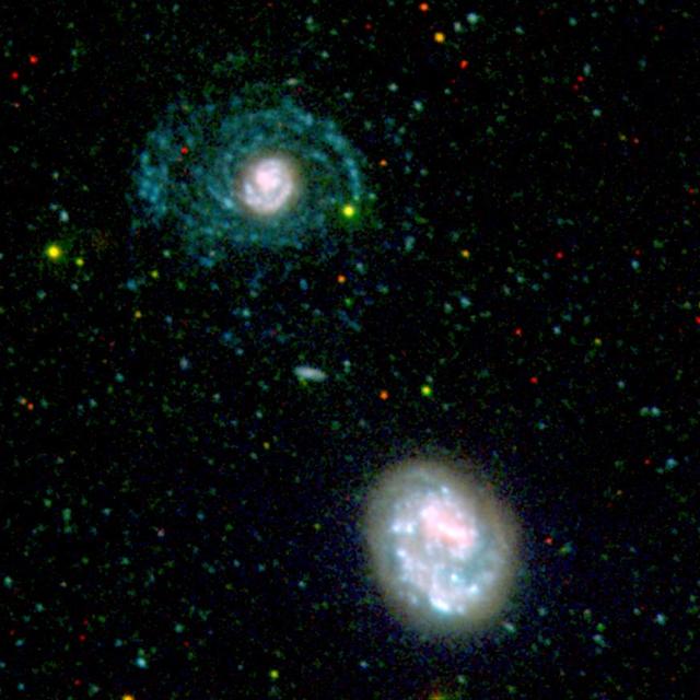 This image highlights the hidden spiral arms blue that were discovered around the nearby galaxy NGC 4625 by the ultraviolet eyes of NASA Galaxy Evolution Explorer.