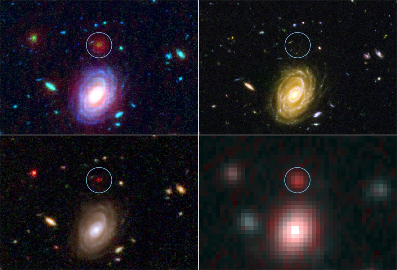 This image demonstrates how data from two of NASA Great Observatories, the Spitzer and Hubble Space Telescopes, are used to identify one of the most distant galaxies ever seen. This galaxy is named named HUDF-JD2.