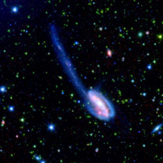The Tadpole galaxy is the result of a recent galactic interaction in the local universe. These spectacular images were taken by NASA Spitzer Wide-area Infrared Extragalactic SWIRE Legacy project.