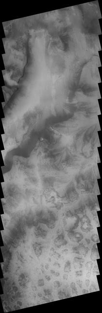 The region surrounding the South Polar Cap contains many different terrain types. This image from NASA 2001 Mars Odyssey spacecraft shows both etched terrain and a region of mounds.