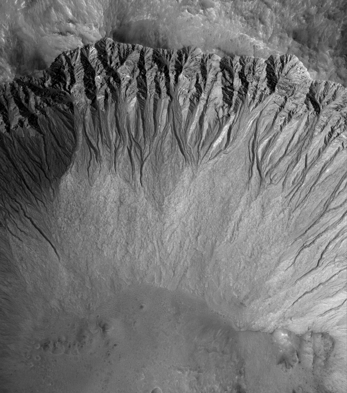 NASA Mars Global Surveyor image shows a suite of south mid-latitude gullies on a crater wall. Gullies such as these may have formed by runoff of liquid water.