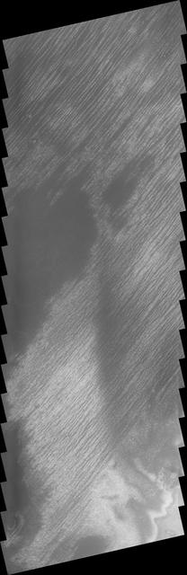 This linear features near the South Polar Cap appeared during the height of southern summer