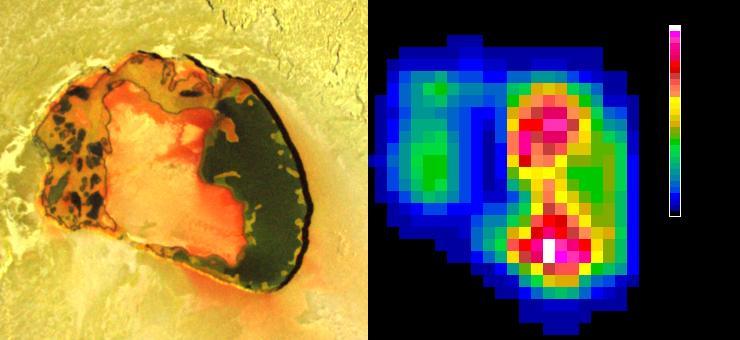 Tupan Caldera, a volcanic crater on Jupiter moon Io, has a relatively cool area, possibly an island, in its center, as indicated by infrared imagery from NASA Galileo spacecraft during an Oct. 16, 2001 flyby.