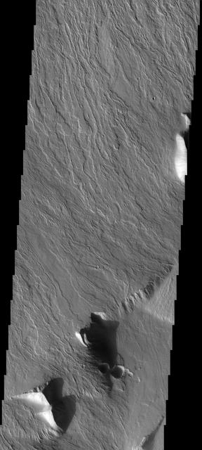 This image shows the massive Olympus Mons flows at the basal escarpment