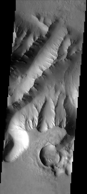 Using the JMars targeting software, eighth grade students from Charleston Middle School in Charleston, IL, selected the location of -8.37N and 276.66E for capture by the THEMIS visible camera during Mars Odyssey sixth orbit of Mars on Nov. 22, 2005