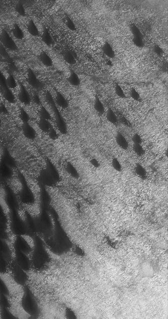 NASA image: Dunes in Brashear